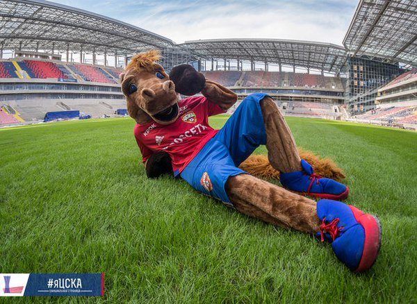 mascot