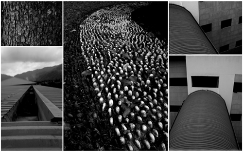 formalism